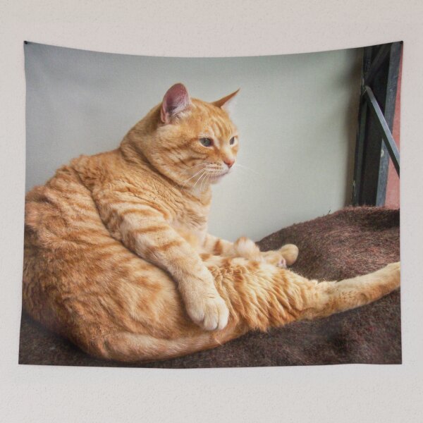 Item preview, Is it Caturday yet? designed and sold by Maria  Gonzalez.