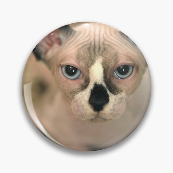 Item preview, Cute sphinx cat sitting on table designed and sold by olena2552.