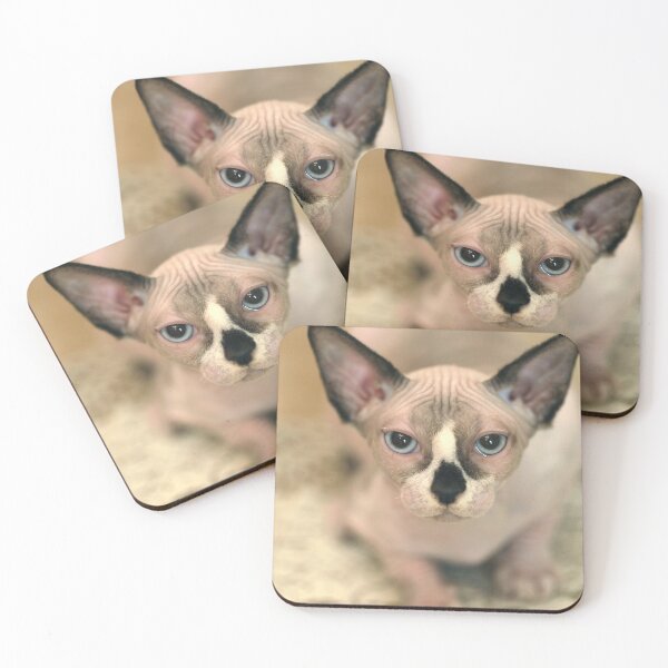 Item preview, Cute sphinx cat sitting on table designed and sold by olena2552.