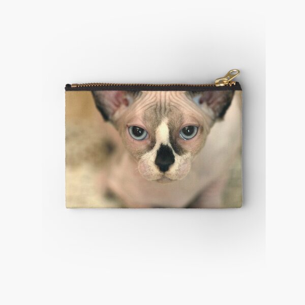 Item preview, Cute sphinx cat sitting on table designed and sold by olena2552.