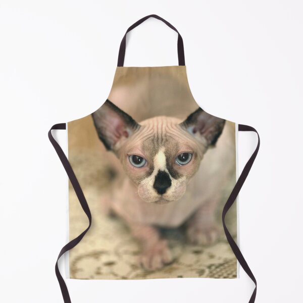 Item preview, Cute sphinx cat sitting on table designed and sold by olena2552.