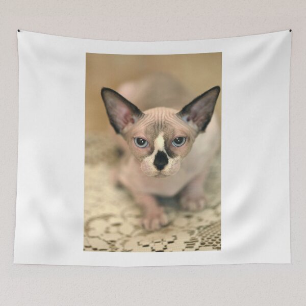 Item preview, Cute sphinx cat sitting on table designed and sold by olena2552.
