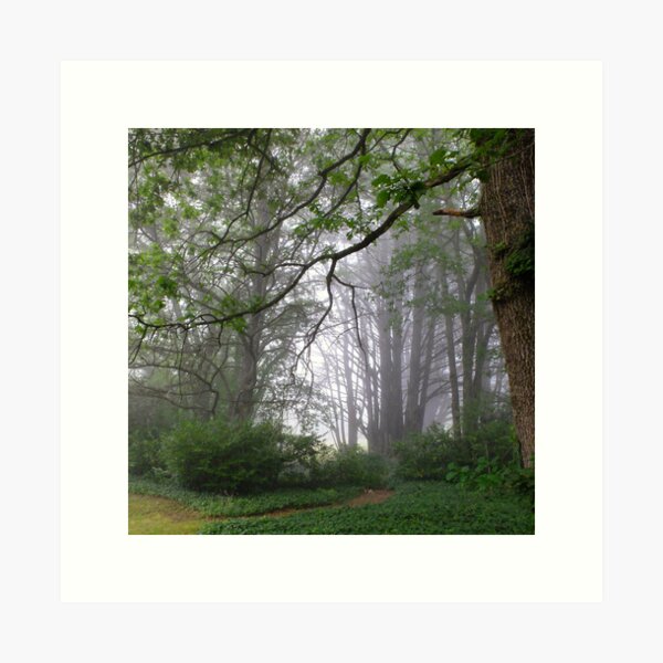 Item preview, Misty Morning designed and sold by Geoff Smith.