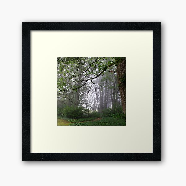 Item preview, Misty Morning designed and sold by Geoff Smith.