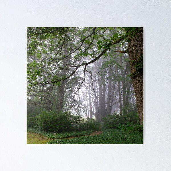 Item preview, Misty Morning designed and sold by Geoff Smith.