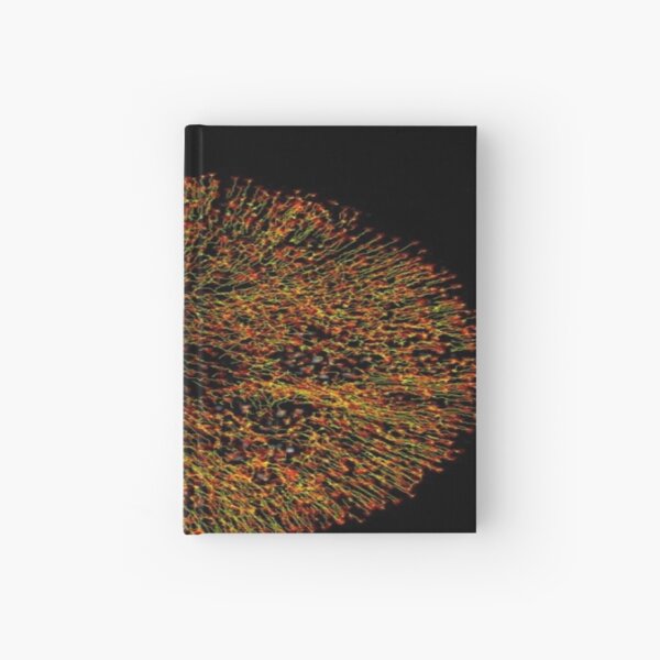 On the move: particle trajectories in a drying droplet, with red arrows showing the trajectory end Hardcover Journal