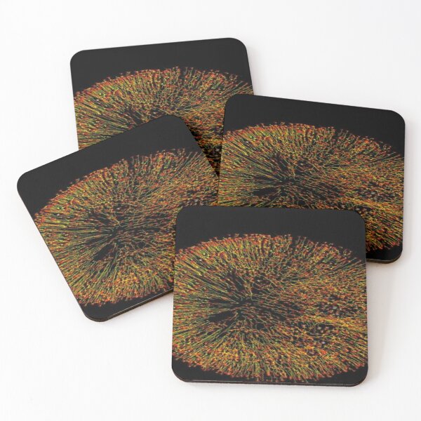 On the move: particle trajectories in a drying droplet, with red arrows showing the trajectory end Coasters (Set of 4)