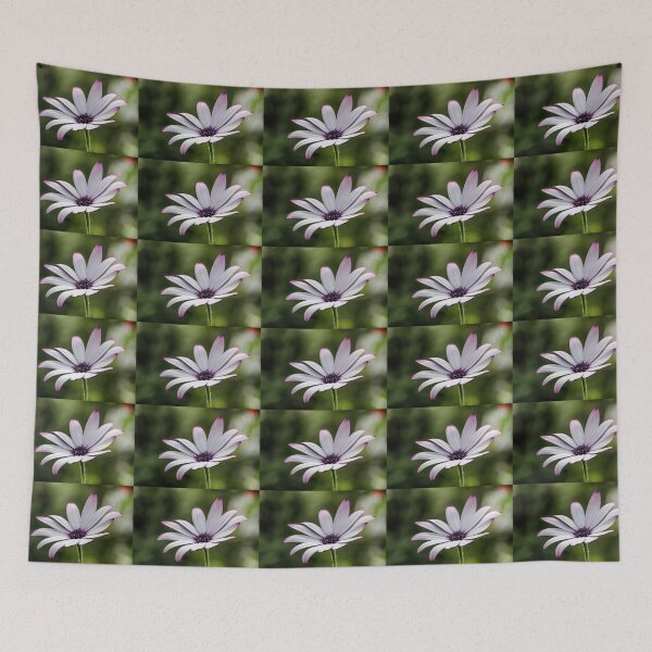 Item preview, Osteospermum. designed and sold by John Ray.