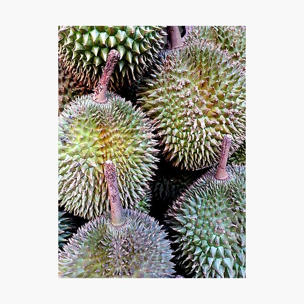 Durian Photographic Print