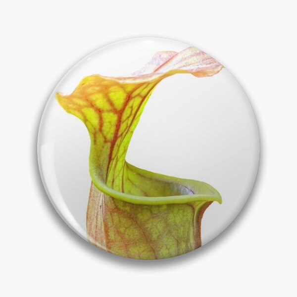 Item preview, Sarracenia flava designed and sold by Abe Hasner.