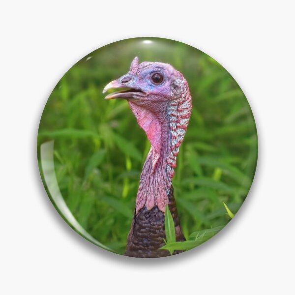Item preview, Turkey In The Straw  designed and sold by Lanis Rossi.
