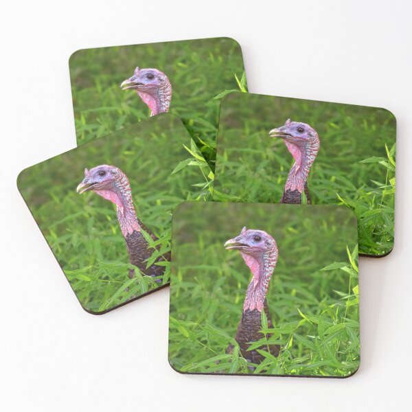 Item preview, Turkey In The Straw  designed and sold by Lanis Rossi.