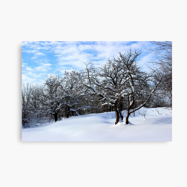 Item preview, In Pastures White As Snow designed and sold by Kathleen Daley.