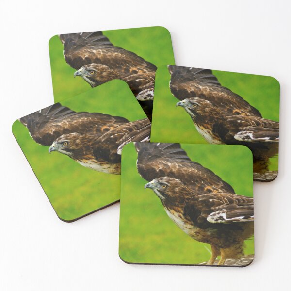 Item preview, rli redtail hawk designed and sold by pcfyi.