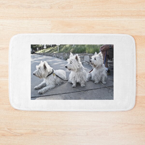 Item preview, rli three amigos designed and sold by pcfyi.