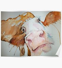 Nosey Cow! Poster