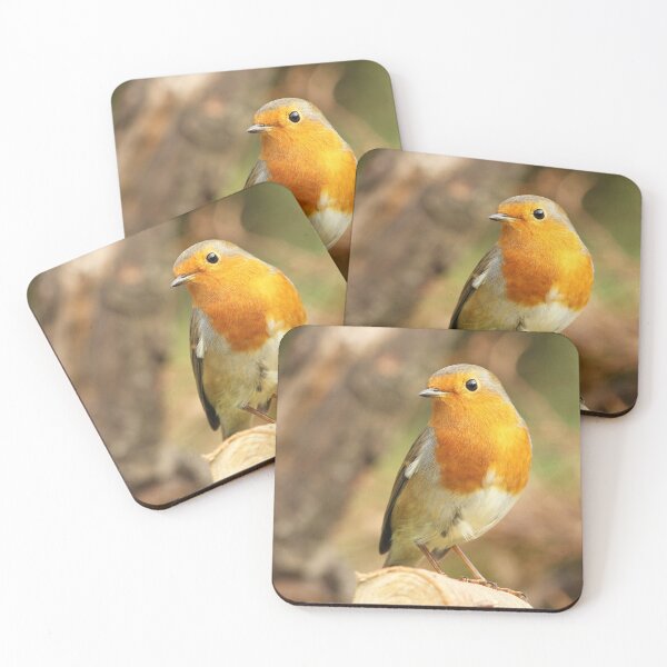 Item preview, Robin designed and sold by Jane Stanley Photography.