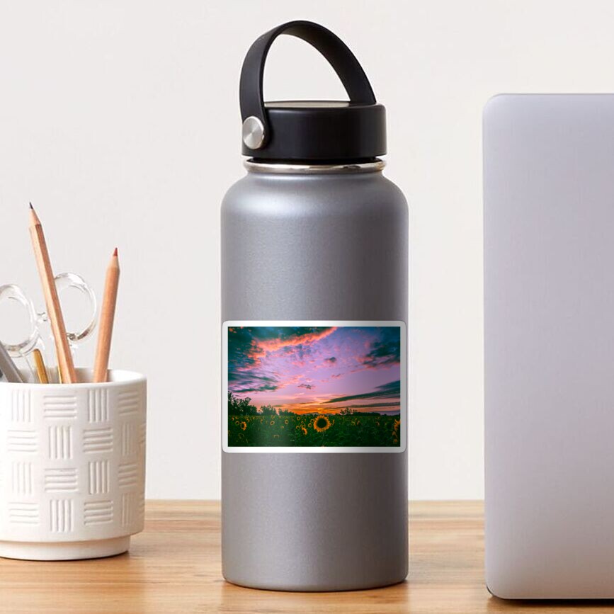Sunflowers at sunset Sticker