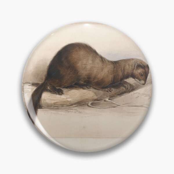 Item preview, A Weasel by Edward Lear  designed and sold by Amanda1775.