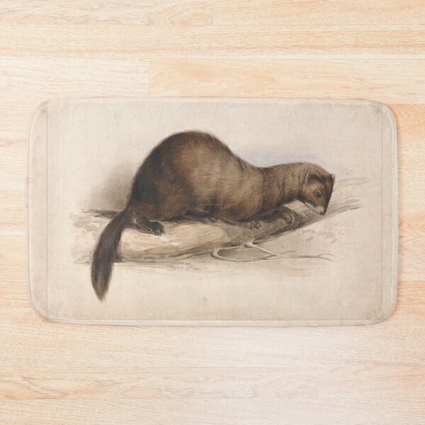 Item preview, A Weasel by Edward Lear  designed and sold by Amanda1775.