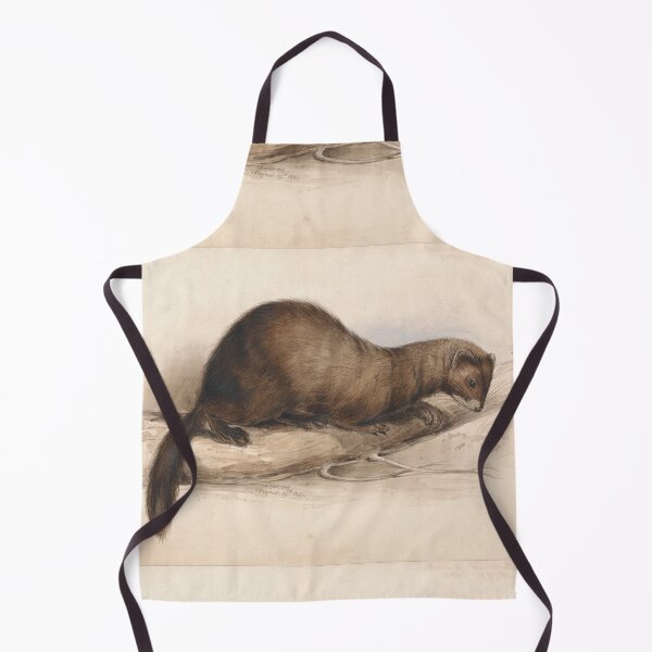 Item preview, A Weasel by Edward Lear  designed and sold by Amanda1775.
