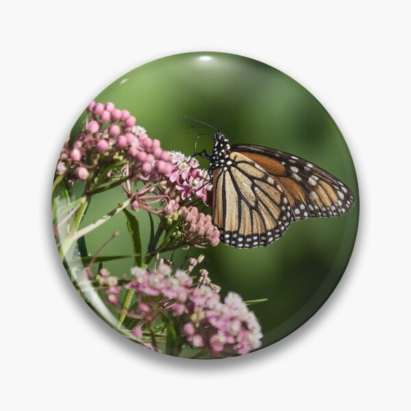 Item preview, Monarch 2020-1 designed and sold by Thomasyoung.