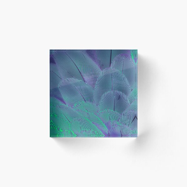Neon psycodelic feathers Acrylic Block