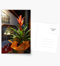 dressing - decoración Postcards