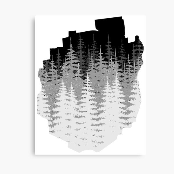 Adirondack Park Silhouette in Pine Trees Canvas Print