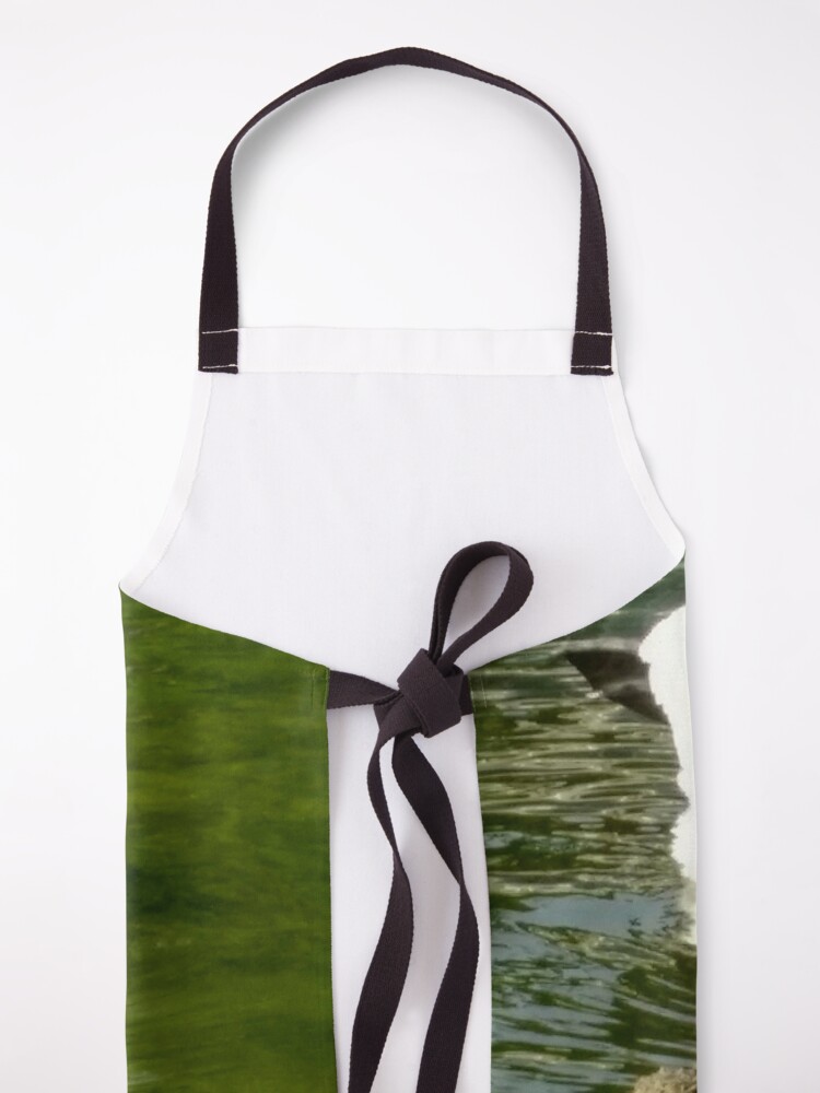 Alternate view of M.I. #48 |☼| Swan - Shot 6 (Pearson Park) Apron