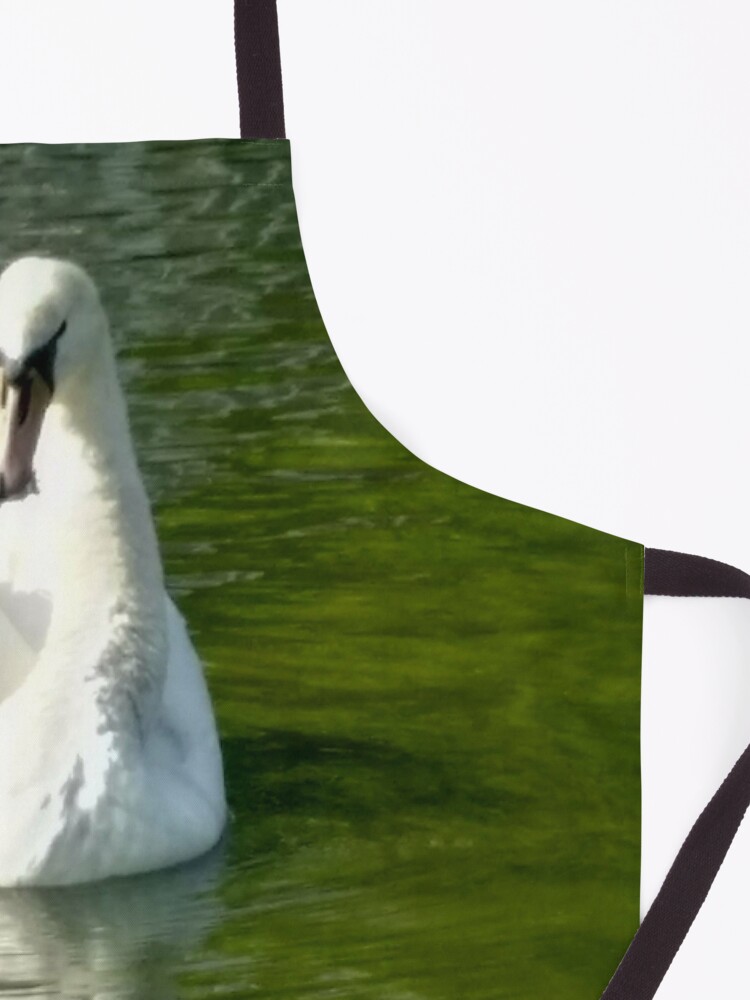 Alternate view of M.I. #48 |☼| Swan - Shot 6 (Pearson Park) Apron