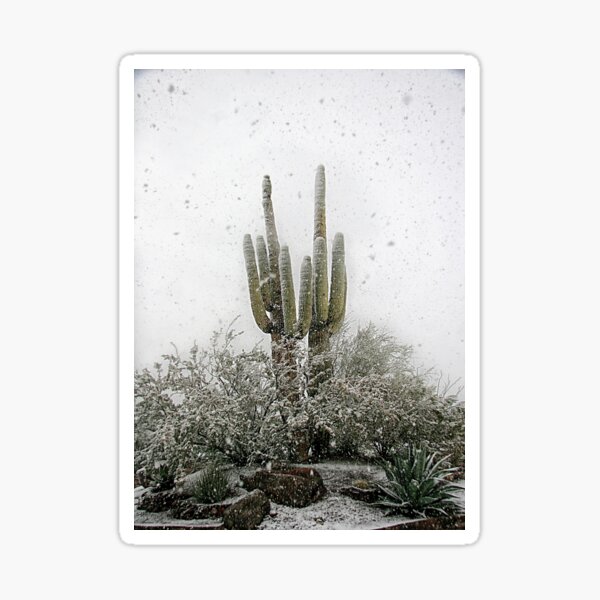 Arizona Snowstorm Sticker