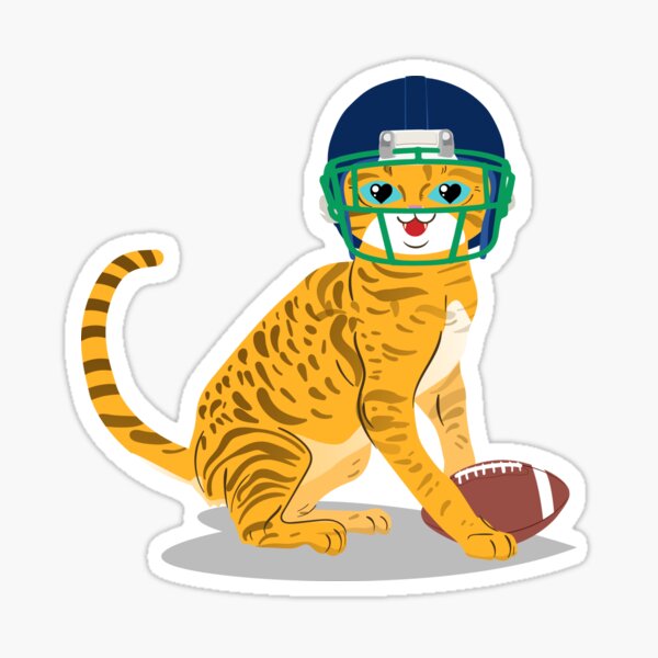 cat with football helmet