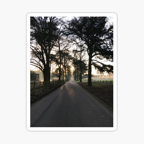 Tranquillity Sticker