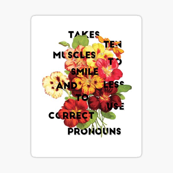 Pronouns Sticker
