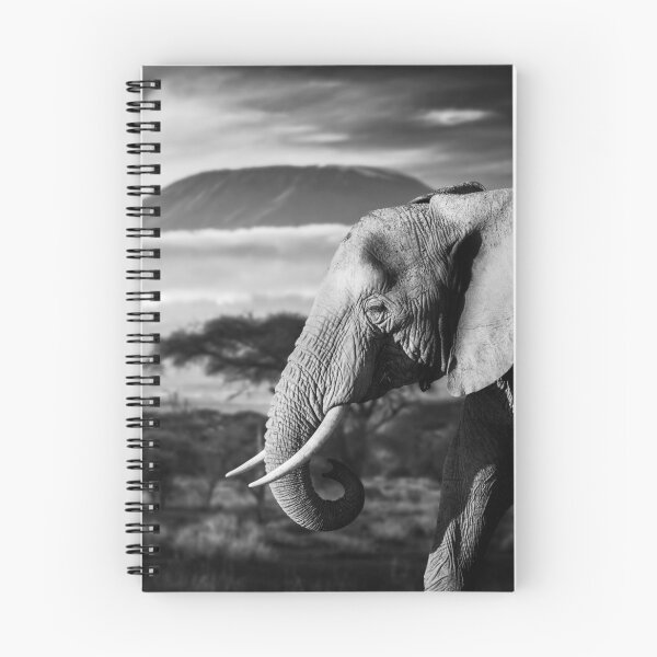 Item preview, Roaming Elephant designed and sold by 3amDesign.