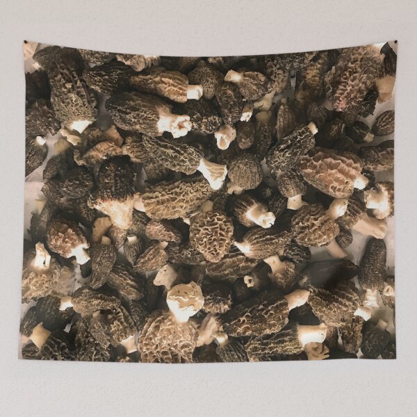 Item preview, Morel Hunting Haul designed and sold by KsbAesthetics.