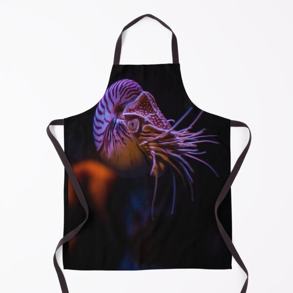 Item preview, Nautilus designed and sold by dmlb photography.