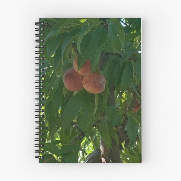 Item preview, triple peaches designed and sold by eevee135.