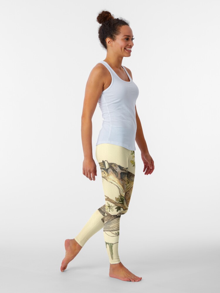 NATURAL HISTORY - Dinictis felina Leggings for Sale by thoughtsupnorth