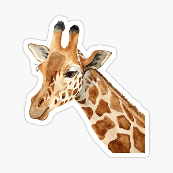Aperçu de l'œuvre Girafe à l'aquarelle créée et vendue par hillarymoore06.