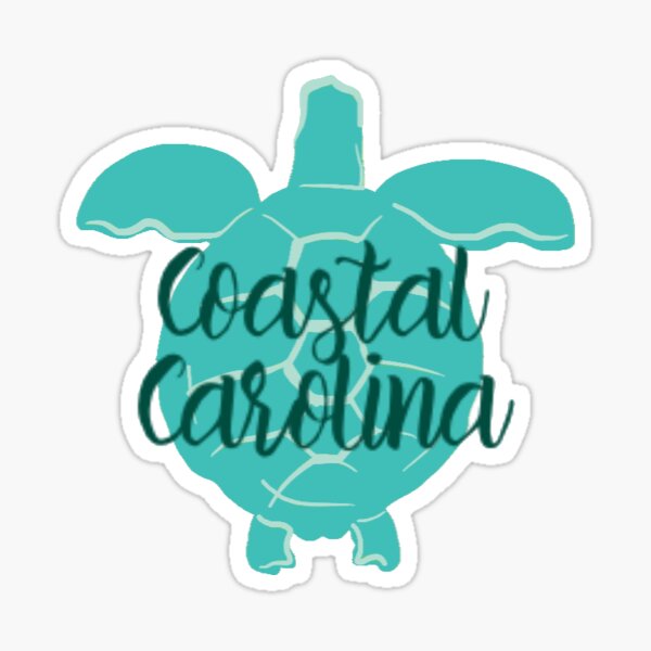 Blue Coastal Turtle  Sticker