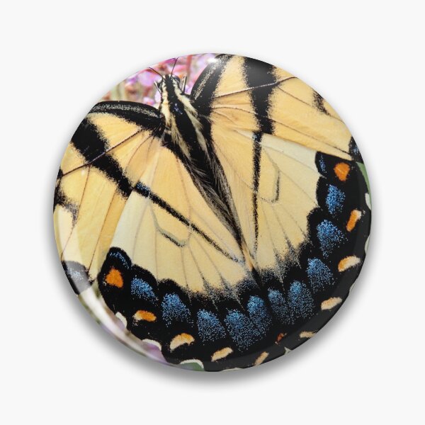 Item preview, Female swallowtail designed and sold by bwatkinsphoto.