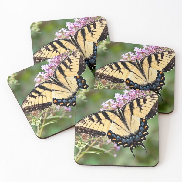 Item preview, Female swallowtail designed and sold by bwatkinsphoto.