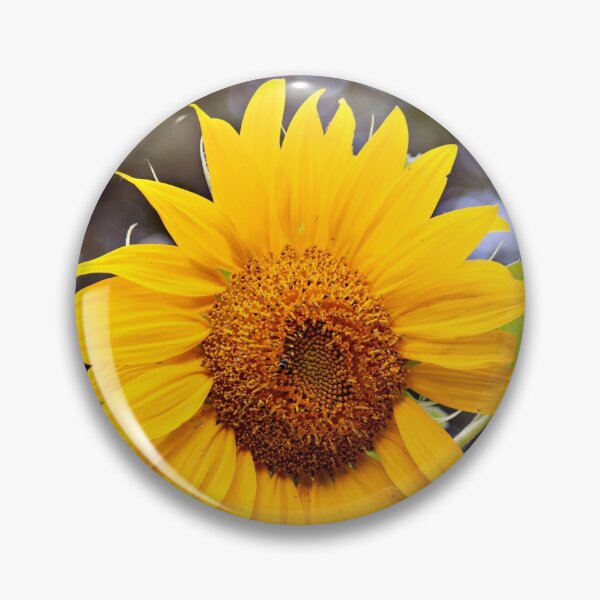Item preview, Yellow mammoth sunflower designed and sold by bwatkinsphoto.