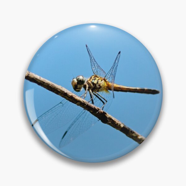 Item preview, Dragonfly designed and sold by bwatkinsphoto.