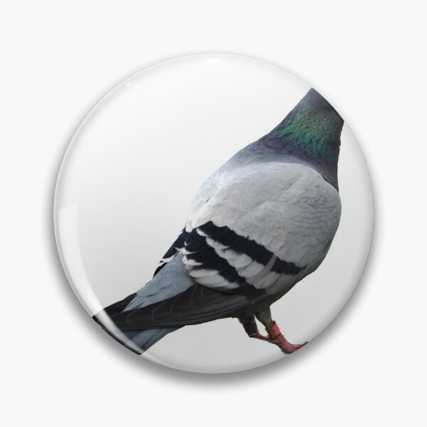 Item preview, Pesky Pigeon designed and sold by wahine24.