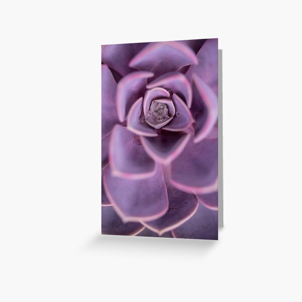 Item preview, Very calming......... designed and sold by Nina  Matthews Photography.