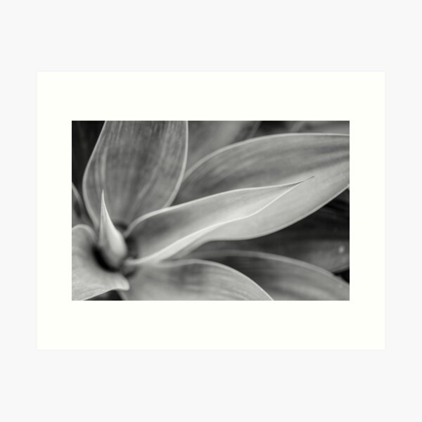 Item preview, Black and white love  designed and sold by Nina  Matthews Photography.