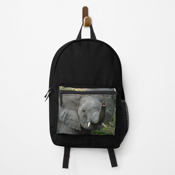 Item preview, Curious African Elephant designed and sold by quentinjlang.
